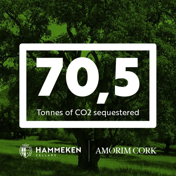 Más de 70 toneladas de CO2 eliminado durante 2020
