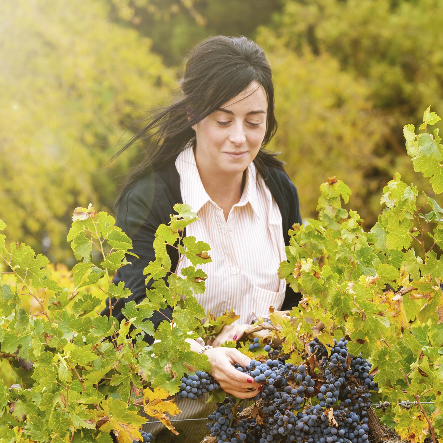 Patricia Lozano, winemaker at our company.