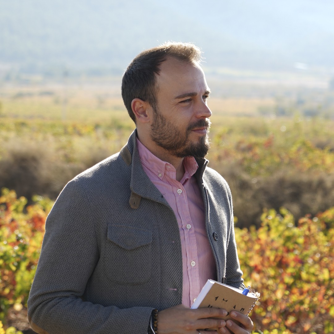 Diego Infantes,  Key Account Manager en Hammeken Cellars.