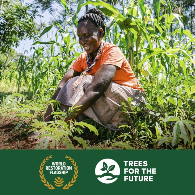 La ONU designa a Trees for the Future como Emblema Principal