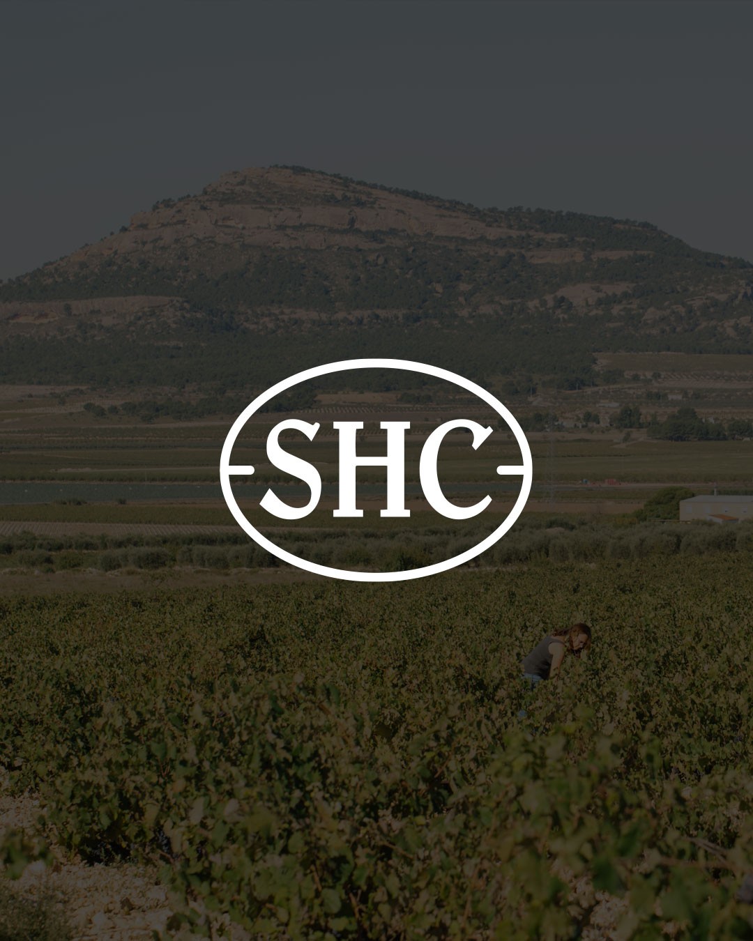 All our wines bear the SHC Seal for guaranteed quality
