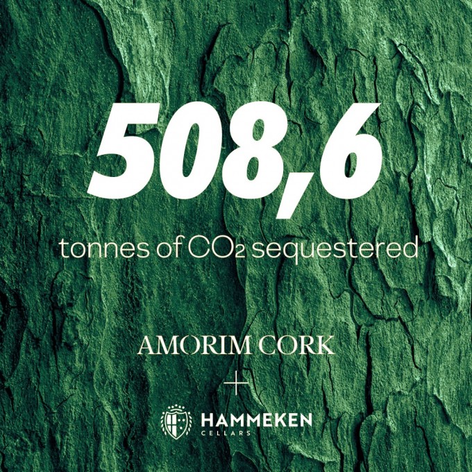 We reduced 508.6 tons of CO2