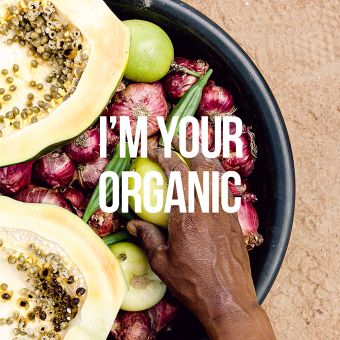 ¡Descubre nuestro proyecto con I’m Your Organic!