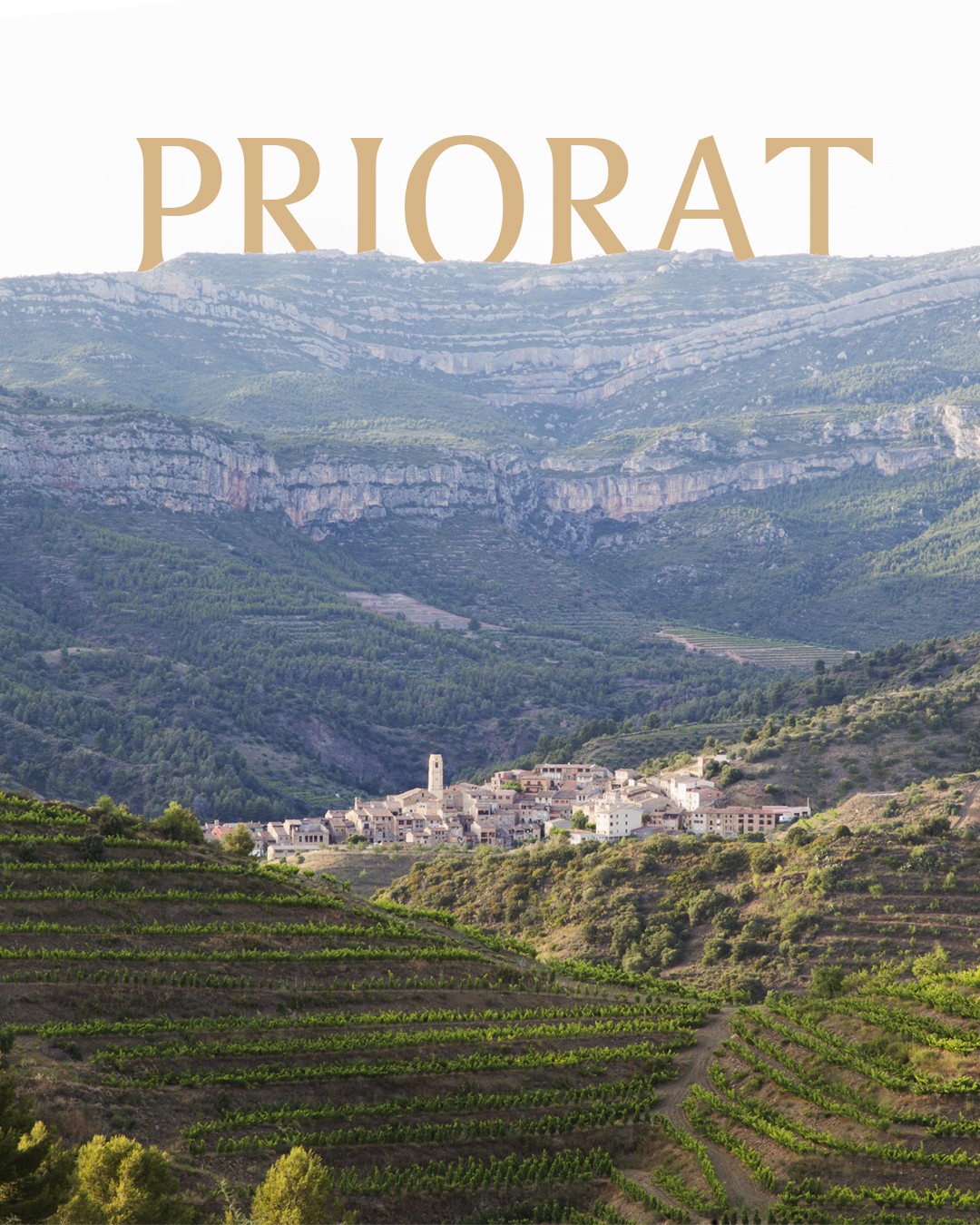 What Makes DOQ Priorat Wines Unique? Discover the Secrets!