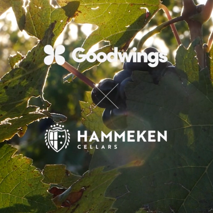 Hammeken Cellars Takes Climate Action with 2024 Sustainability Certificate