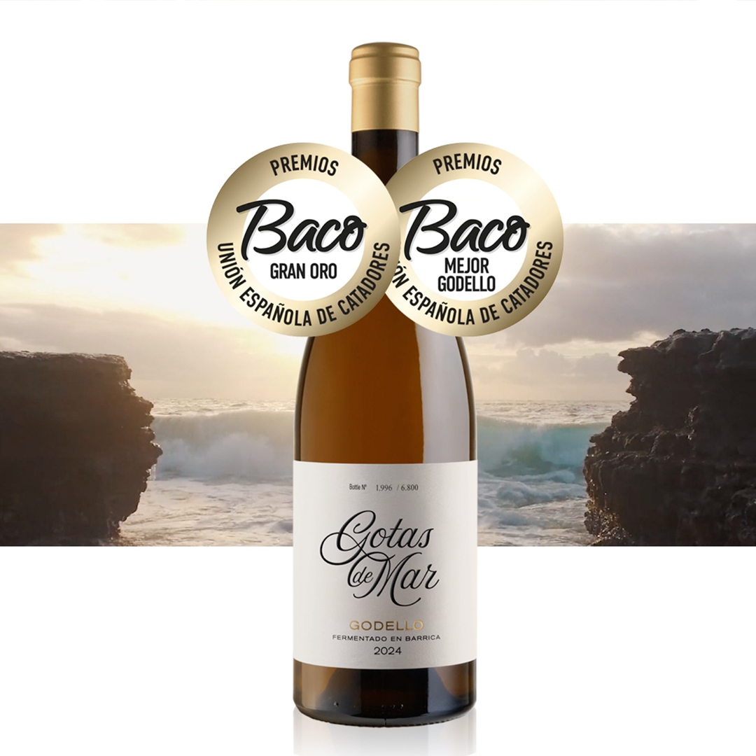 Gotas de Mar 2024 Godello Fermenado en Barrica: Spain’s Best Godello