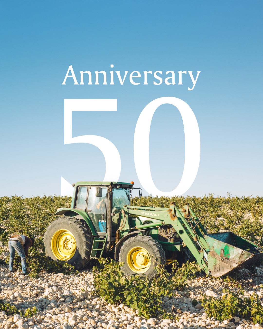 Celebrating 50 Years of Jumilla: The Heartland of Creencia Wines