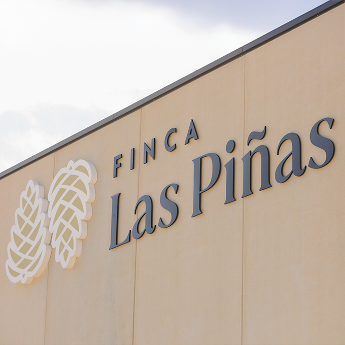 Finca Las Piñas: Más de 6 Millones de Litros, Líderes en Envasado Bag-in-Box.