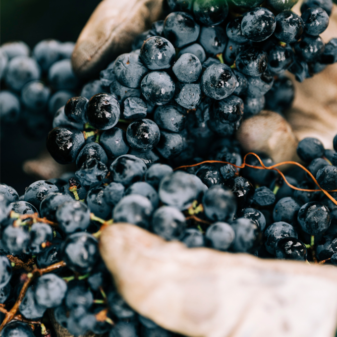 What is a natural wine?