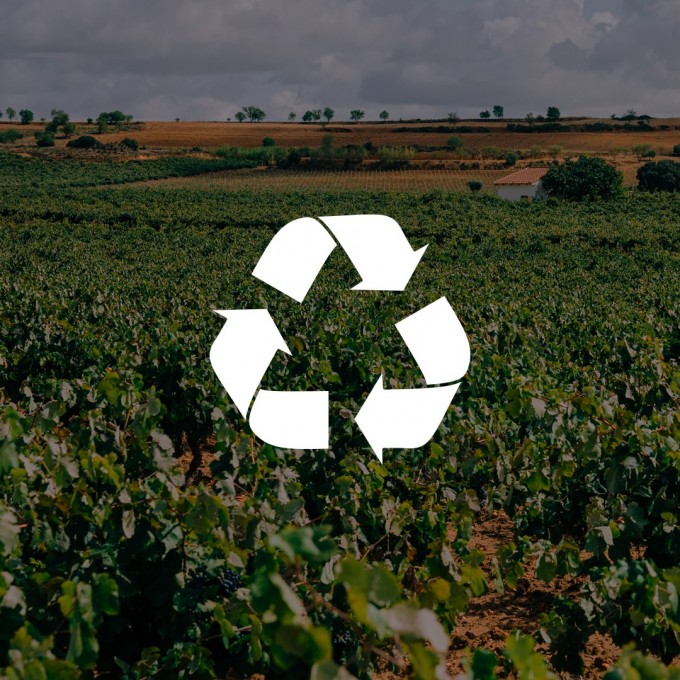 Because sustainability is not a trend