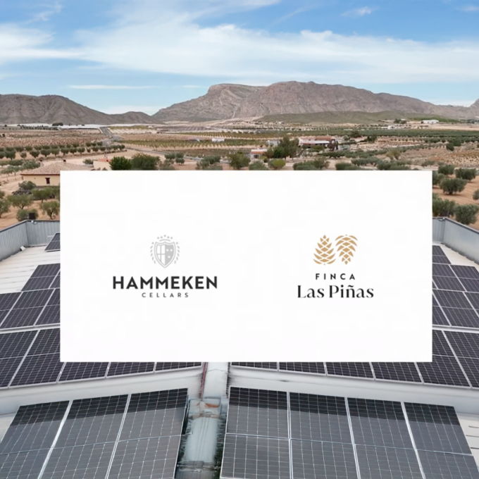 Hammeken Group Advances with 100% Renewable Energy