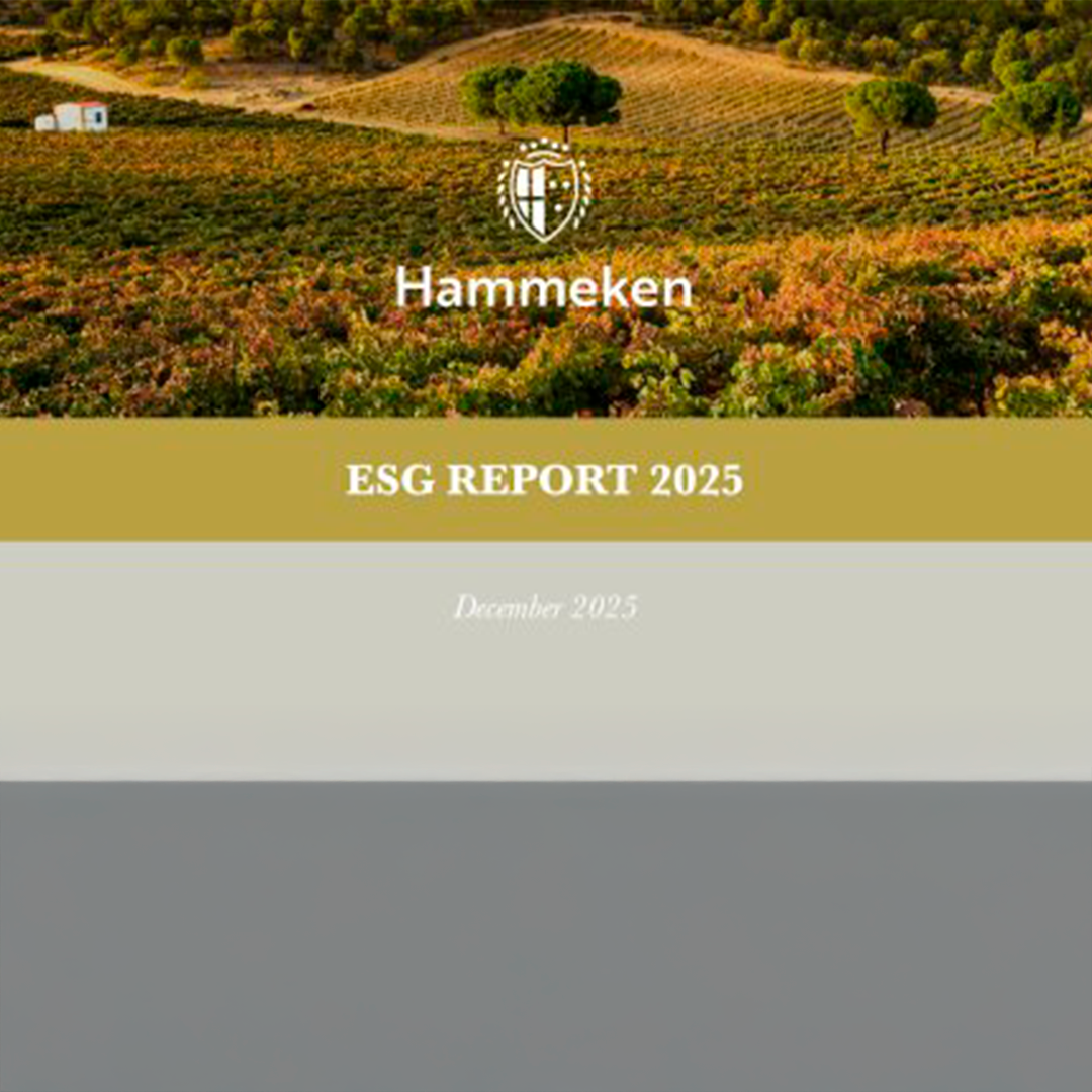 La sostenibilidad como eje estratégico