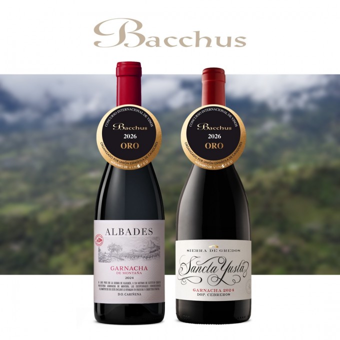 Two Gold Medals at Bacchus for Hammeken Cellars