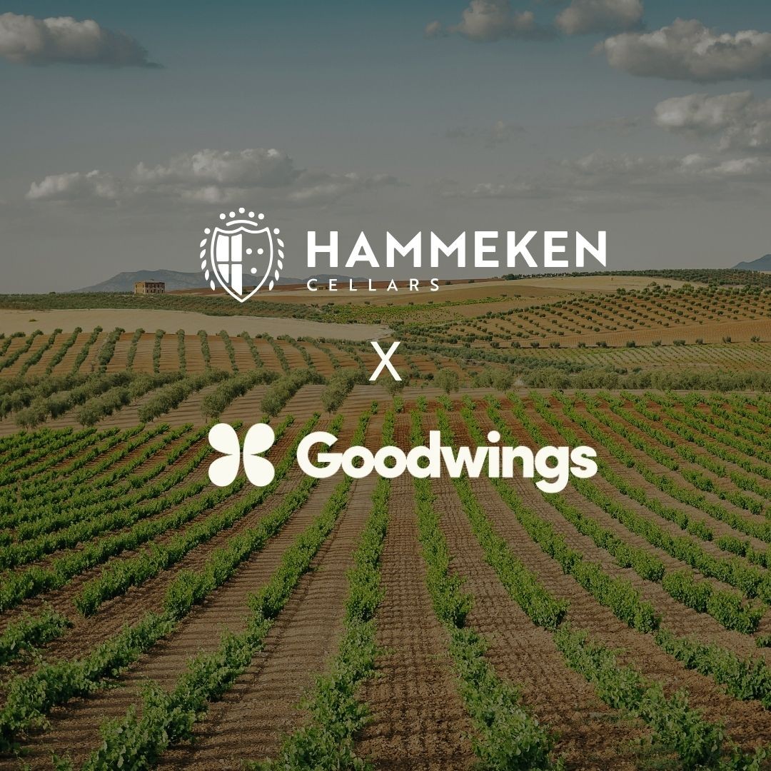 Hammeken Cellars Advances Its Corporate Travel Emissions Measurement