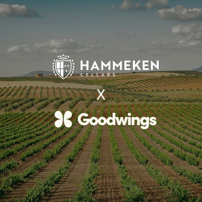 Hammeken Cellars Advances Its Corporate Travel Emissions Measurement