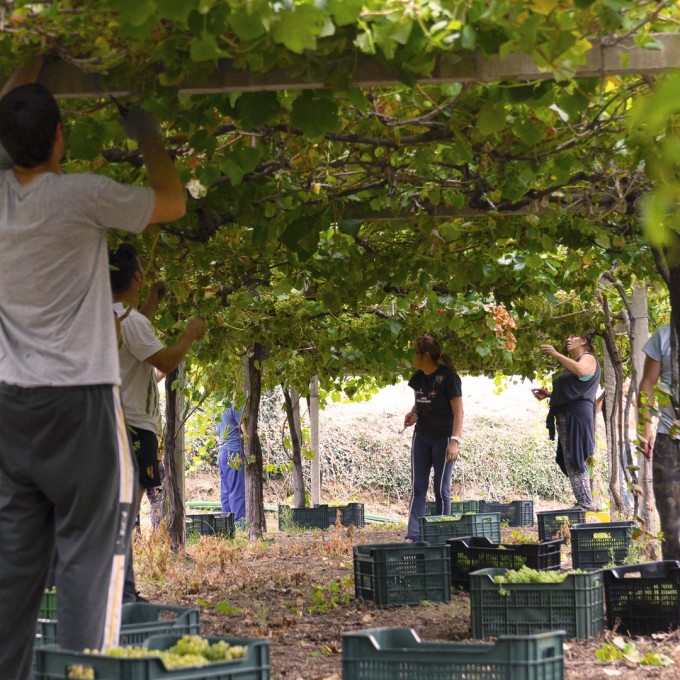Welcomes the 2026 Harvest