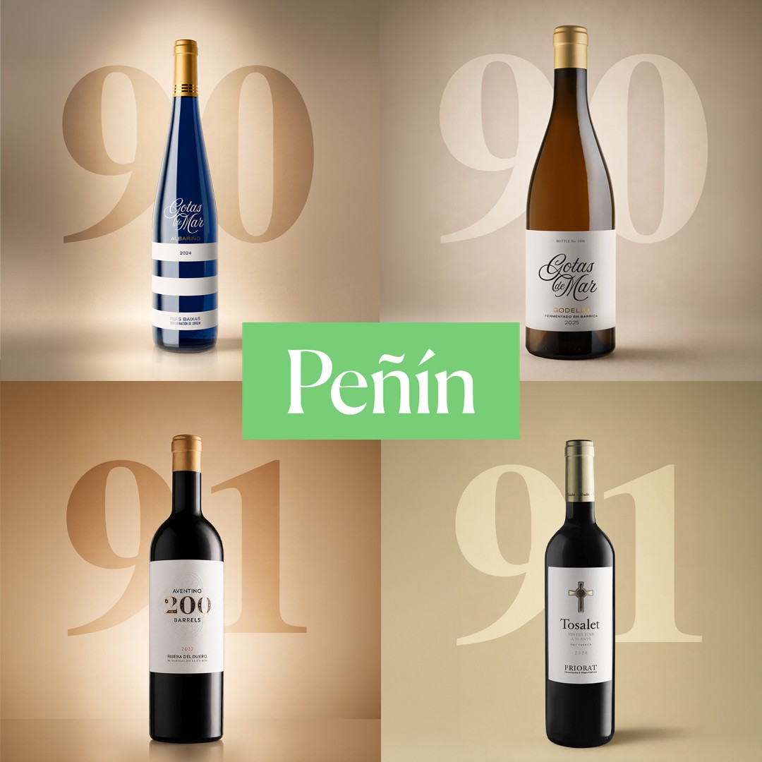 Guía Peñín: 90 and 91 Points for Four Hammeken Cellars Wines