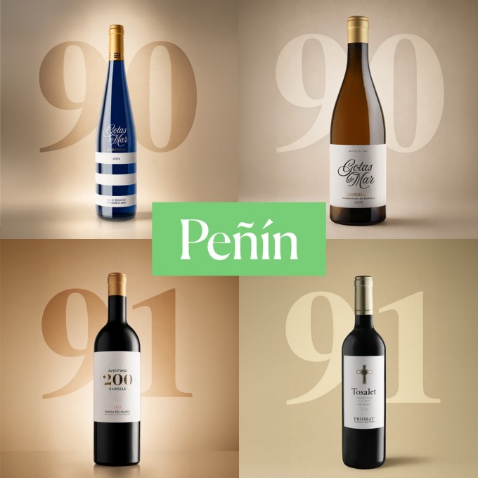 Guía Peñín: 90 and 91 Points for Four Hammeken Cellars Wines